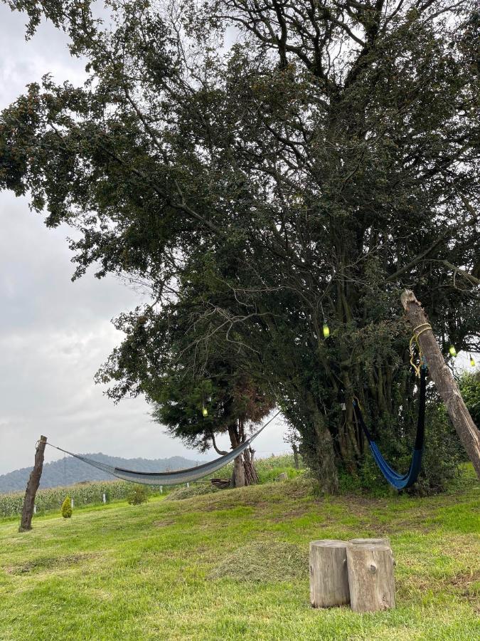 Floresta Casa De Campo Amecameca Екстериор снимка